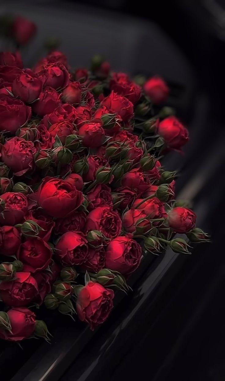 Whisper of Dawn Floral Harmony